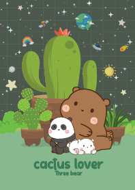 Three Bears Cactus  Lover Sweet