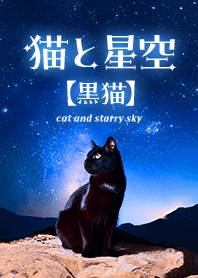 猫と星空【黒猫】