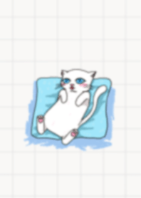 Your white cat, meow