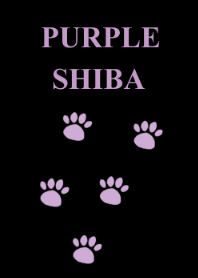 PURPLE SHIBA