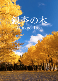 "Ginkgo Tree vol.2" theme