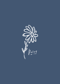 雛菊_海軍藍