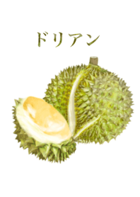 榴蓮　11