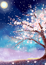 Beautiful night cherry blossoms#1546