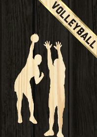 Volleyball Wood Style Ver.3