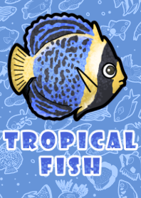 [ tropical fish ] Theme