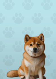 Cute Shibainu Theme Green 09