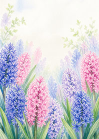 浪漫水彩花園 | 風信子篇