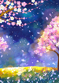 Beautiful night cherry blossoms#1181