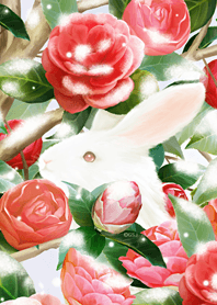 Rabbit and Camellia from Japan