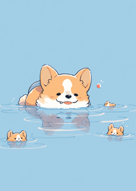 可愛柯基在玩水❤️