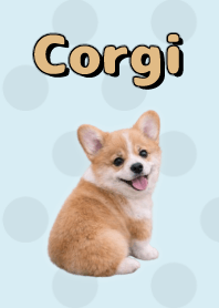 Corgi Theme Blue 02