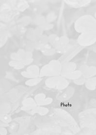 Black and white photography Theme 11
