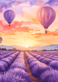 Lavender fields and hot air balloons Vo1