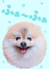 Fafa -いぬのふぁーふぁ-