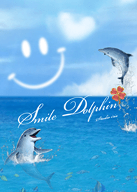 smile dolphin