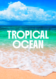 TROPICAL OCEAN THEME 34