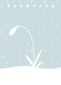 スノードロップ