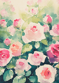 Beautiful rose flower(R4588)