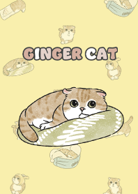 gingercat11 - lemonade