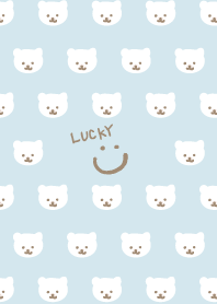 Bear much Blue5 from Japan