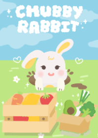 chubbyrabbit2