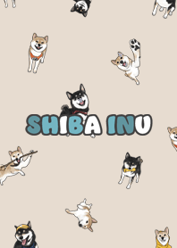 shibainu3 - almond