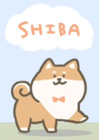 Cute dogs Shiba