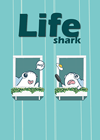 Life of big eyes shark J