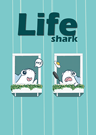 大きな目サメの生活