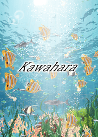 Kawahara Coral & tropical fish