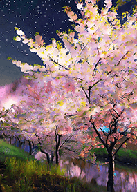Beautiful night cherry blossoms#760