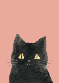 A unique cat05 pink & blue