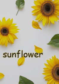sunflower theme theme