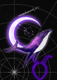 鲸鱼和金牛座-紫色-