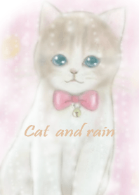 猫と雨。