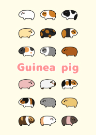 Various Guinea pigs theme
