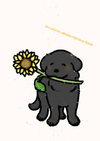 Sunshine Labrador Retriever-Black-