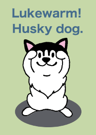 ぬるいぞ！ハスキー犬。