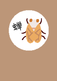 Cicadas colliding