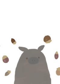 Pig and acorn