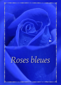 Roses Bleues 青いバラ Line 着せかえ Line Store