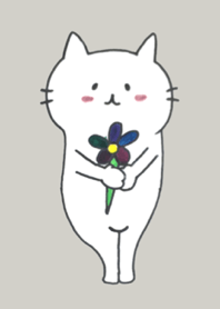 CaT and Flower