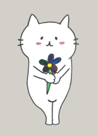 猫と花