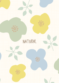 Flowers Autumn Day16 from Japan