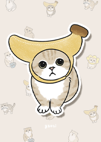 neko combo3 - cream