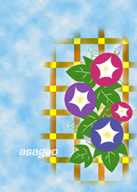 SUMMER collection_Asagao