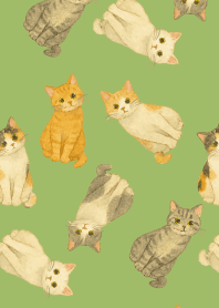 A suspicious cat on moss green