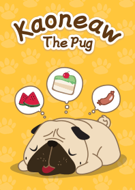Kaoneaw The Pug