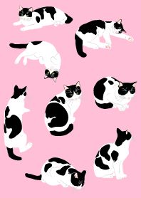 くろぶち猫